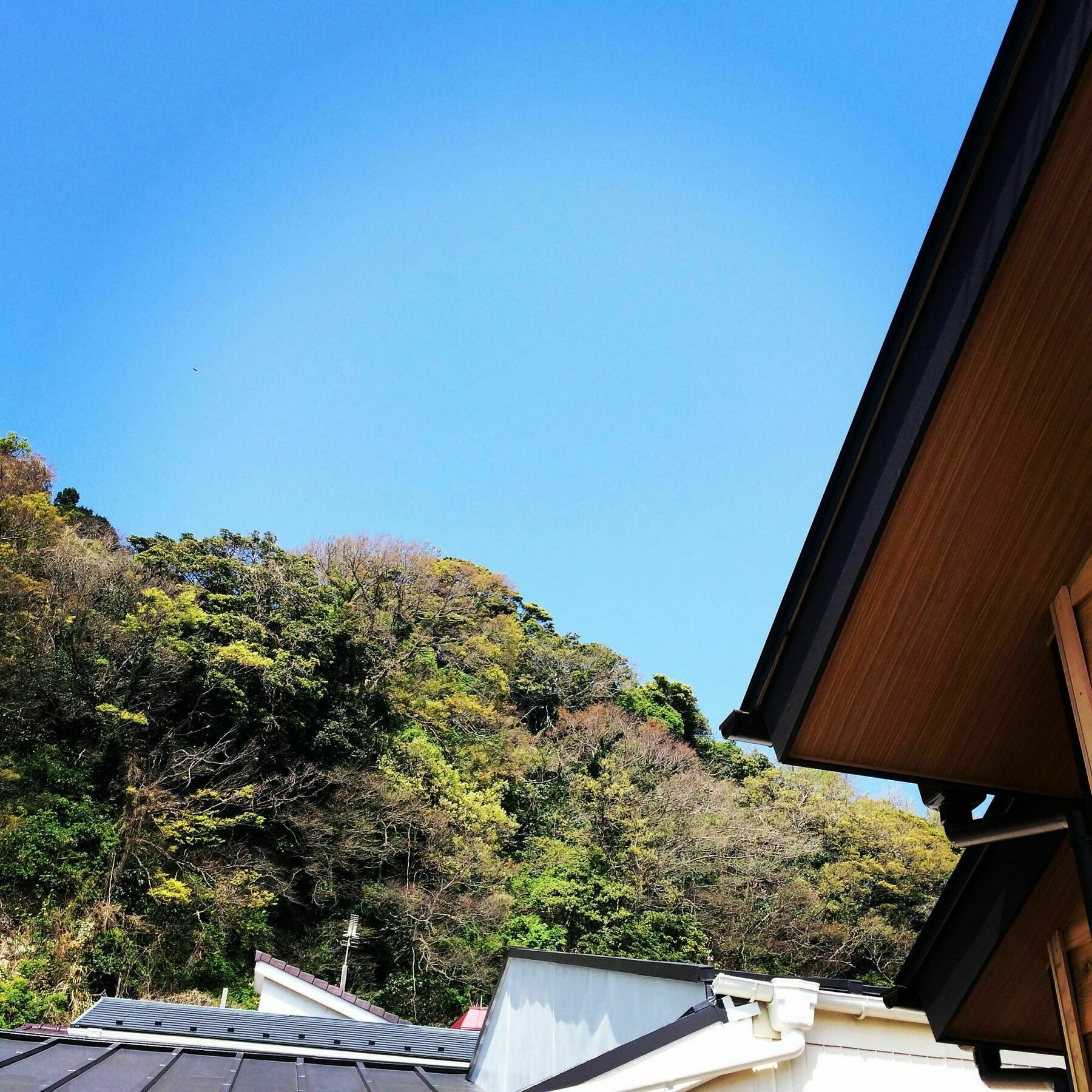 Guest House Kamakura Zen-Ji Luaran gambar