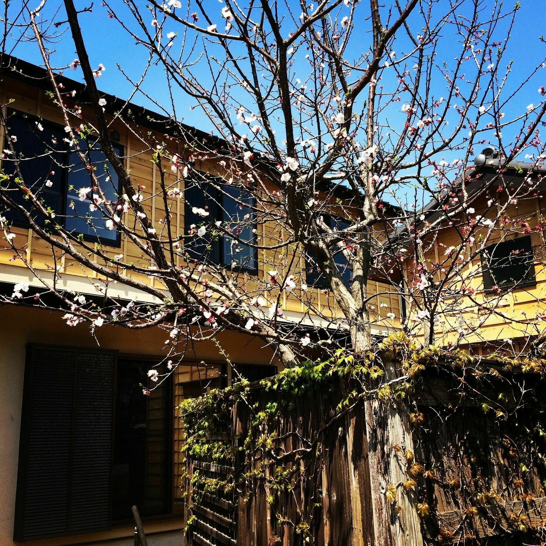 Guest House Kamakura Zen-Ji Luaran gambar